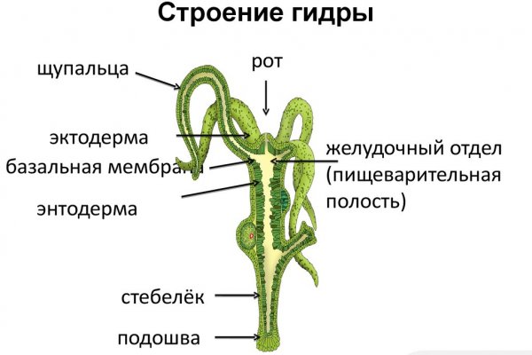 Официальная ссылка мега