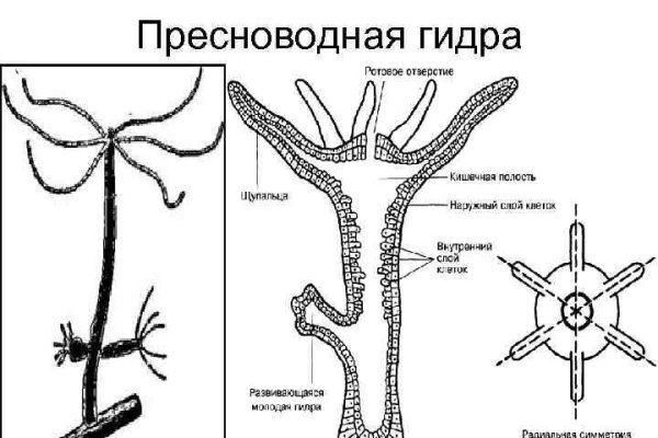 Не работает сайт blacksprut online blacksprut org